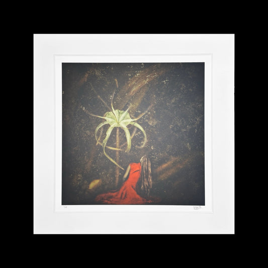 Pétalos de Otro Mundo